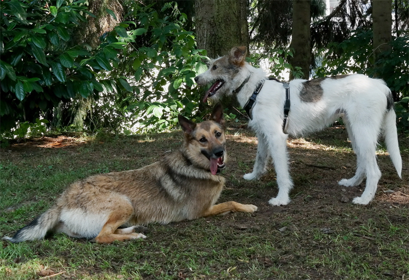 1 -- Emmely Felix SAM_2772 als Smart-Objekt-5 Kopie.jpg - Felix mit seiner Freundin Emelie...